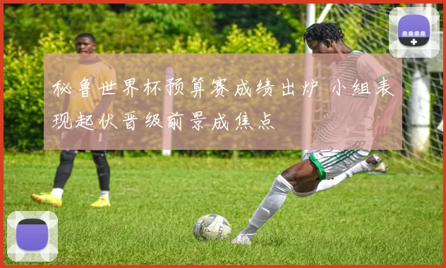 秘鲁世界杯预算赛成绩出炉 小组表现起伏晋级前景成焦点