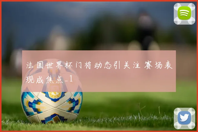 法国世界杯门将动态引关注 赛场表现成焦点_1