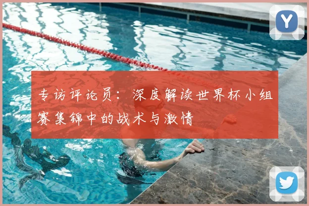专访评论员：深度解读世界杯小组赛集锦中的战术与激情