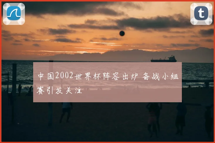 中国2002世界杯阵容出炉 备战小组赛引发关注