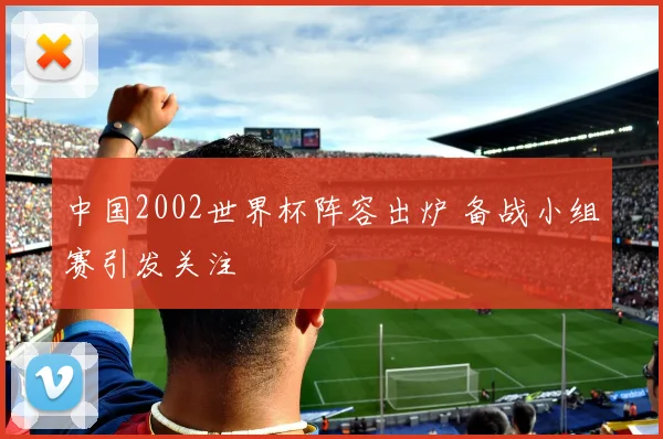 中国2002世界杯阵容出炉 备战小组赛引发关注