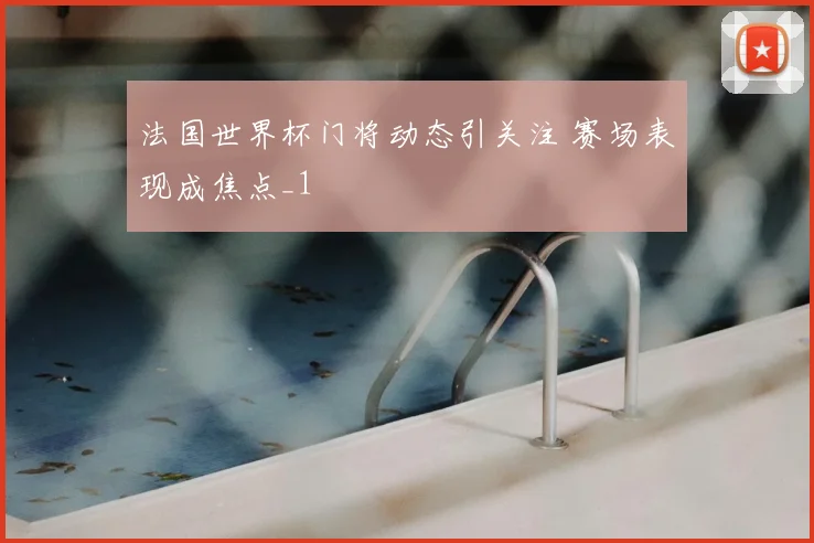 法国世界杯门将动态引关注 赛场表现成焦点_1