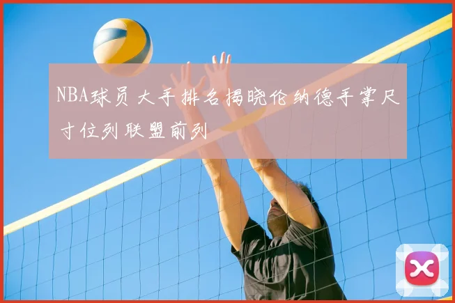 NBA球员大手排名揭晓伦纳德手掌尺寸位列联盟前列