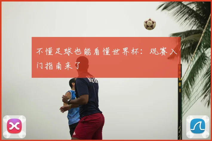 不懂足球也能看懂世界杯:观赛入门指南来了